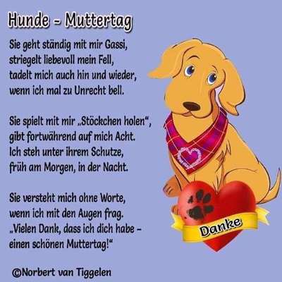 Alles rund um den Schäferhund, diskutieren erwünscht.-Beitrag-Bild