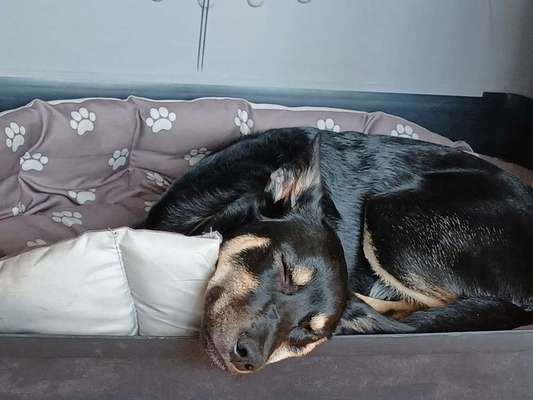 Verrückte Schlafpositionen-Beitrag-Bild