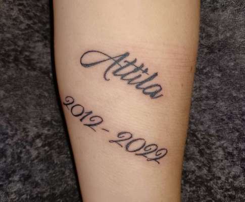 Erinnerungs Tattoos-Beitrag-Bild