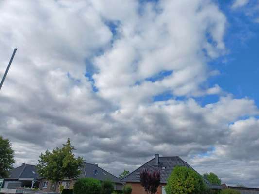 Alles rund um den Schäferhund, diskutieren erwünscht.-Beitrag-Bild