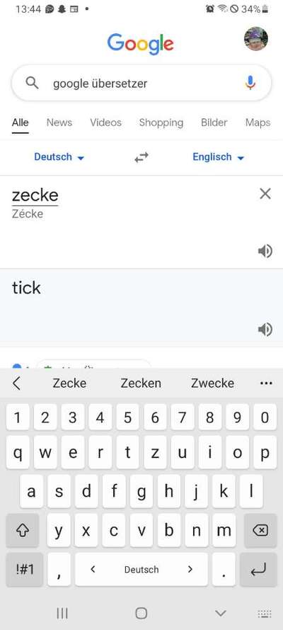 Wer kennt dieses Tier?-Beitrag-Bild