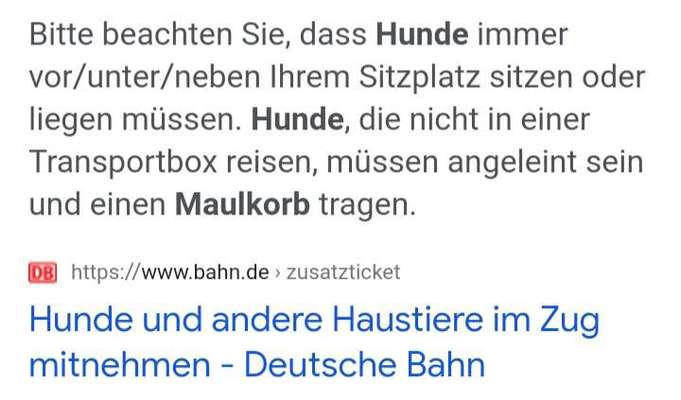 Alles rund um den Schäferhund, diskutieren erwünscht.-Beitrag-Bild