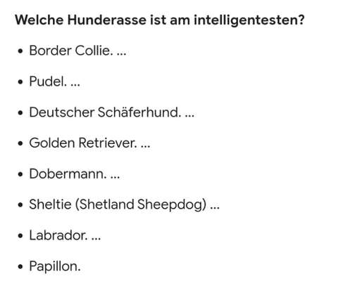 Warum müssen Mischlinge jetzt so klangvolle "Rassebezeichnungen" haben?-Beitrag-Bild