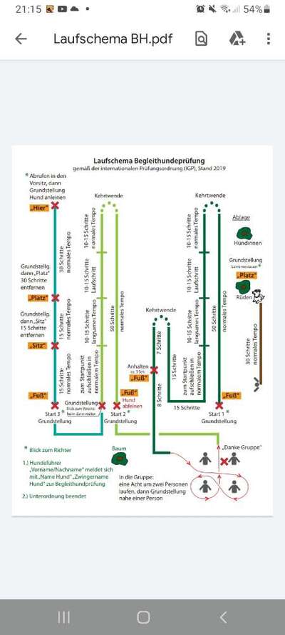 Alles rund um den Schäferhund, diskutieren erwünscht.-Beitrag-Bild