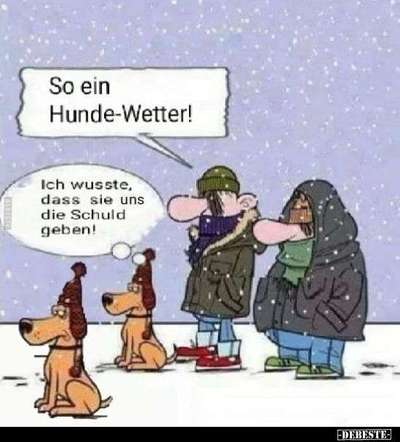 Hunde Memes-Beitrag-Bild