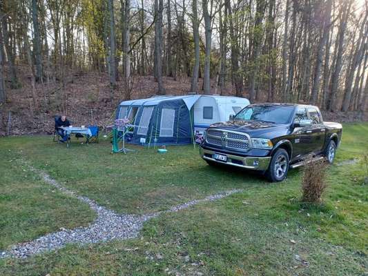 Alles rund um den Schäferhund, diskutieren erwünscht.-Beitrag-Bild