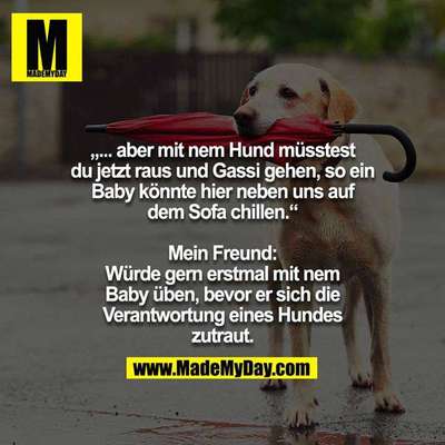 Hunde Memes-Beitrag-Bild