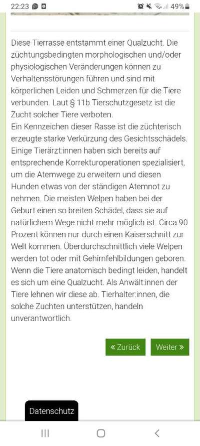 Brachycephale Hunderassen-Beitrag-Bild