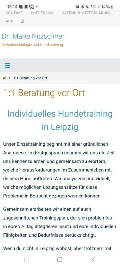 Hilfe der Schuh brennt-Beitrag-Bild