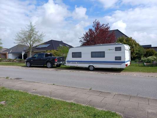 Alles rund um den Schäferhund, diskutieren erwünscht.-Beitrag-Bild