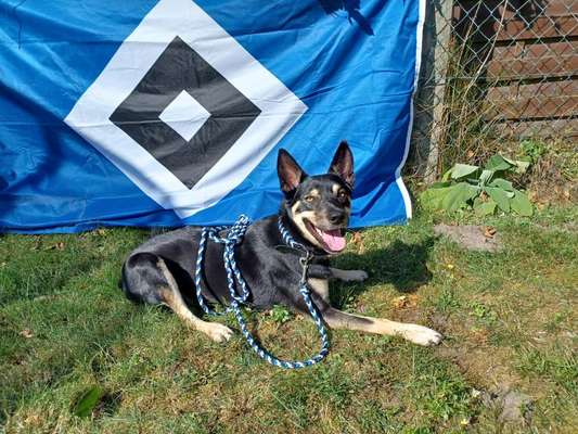 32. Farben Challenge  ** ( BUNTE ) STREIFEN **-Beitrag-Bild