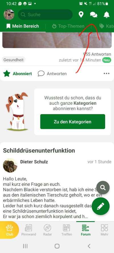 Schilddrüsenunterfunktion-Beitrag-Bild