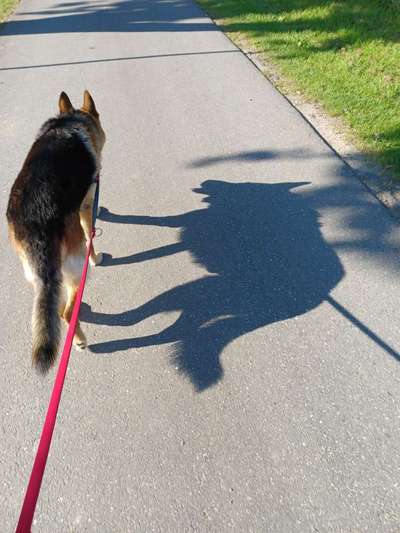 Fotochallange Nr. 46

Schattenspiele BEENDET!!!!!-Beitrag-Bild