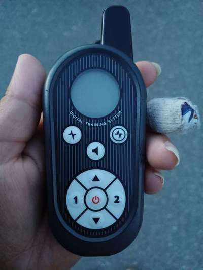 Alles rund um den Schäferhund, diskutieren erwünscht.-Beitrag-Bild