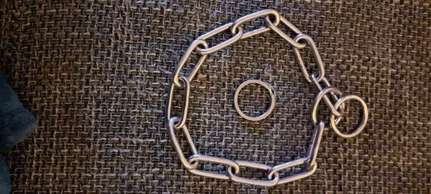 Halsketten nicht erlaubt auf Hundeplatz-Beitrag-Bild