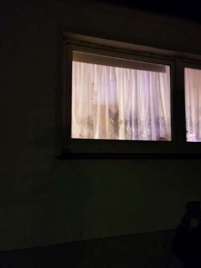 Silvester - Erfahrungen mit Chillout Drops?-Beitrag-Bild