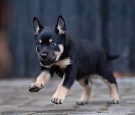 Foto Challenge 82-Beitrag-Bild