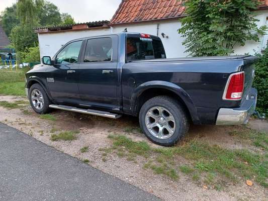 Alles rund um den Schäferhund, diskutieren erwünscht.-Beitrag-Bild