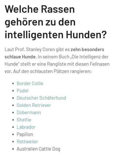 Wie finde ich den passenden Hund?-Beitrag-Bild