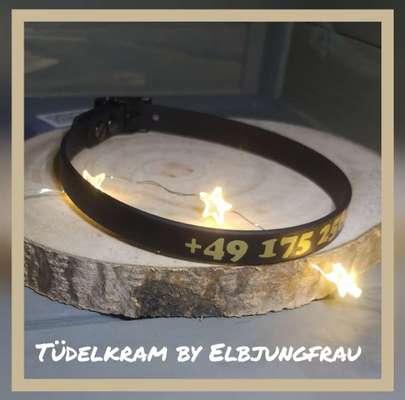 Welches Halsband trägt dein Hund und warum dieses?-Beitrag-Bild