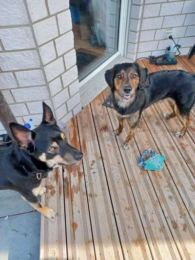 Erzählt eure Erfolgsstorys!-Beitrag-Bild