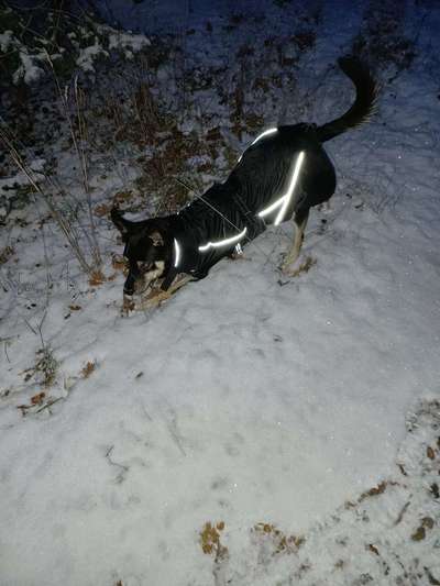 FOTO CHALLENGE Thema ,,durchdrehen"-Beitrag-Bild