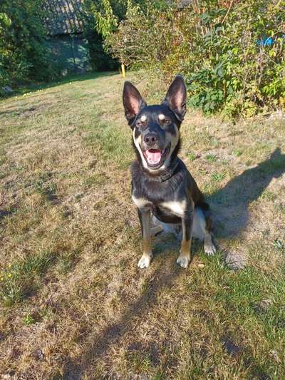 Handy-foto Challange nr. 11-Beitrag-Bild