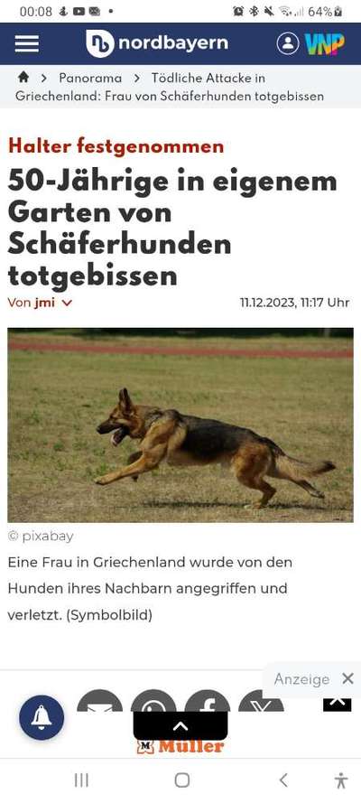 Hundeangriff in Griechenland - wie verhindern, vorbeugen?-Beitrag-Bild