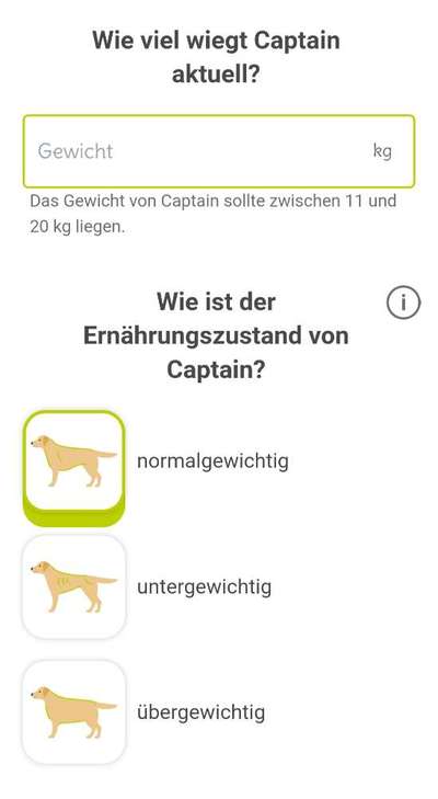 Futter Für welpen-Beitrag-Bild