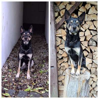 Warum muss es denn unbedingt der sein?-Beitrag-Bild