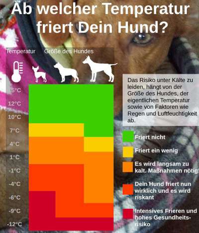 Wintermantel-Beitrag-Bild