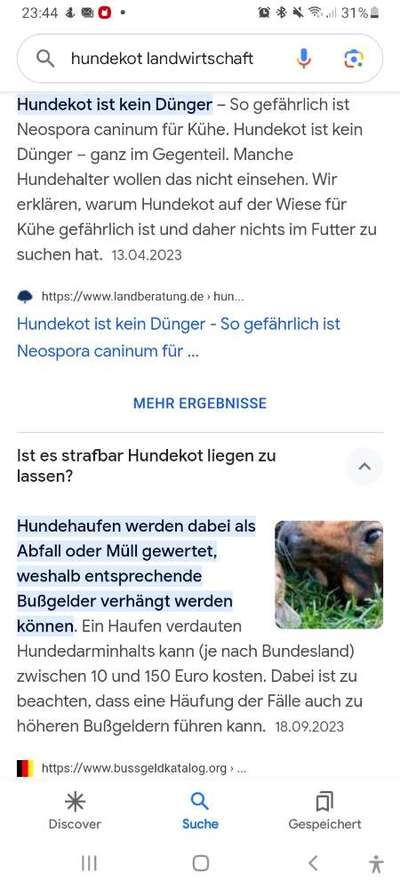 Wann und wie oft füttern?-Beitrag-Bild