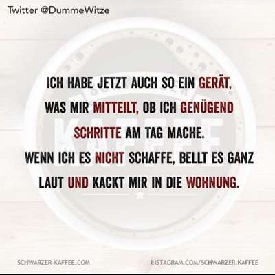 Hunde Memes-Beitrag-Bild