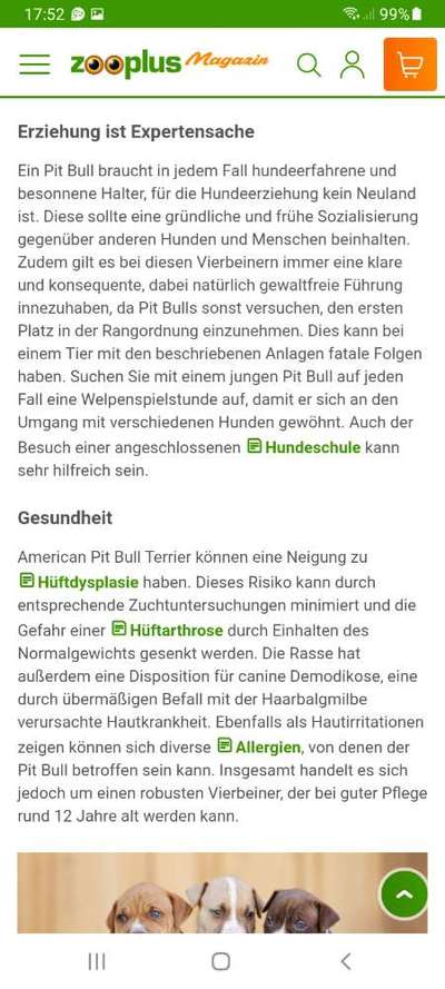 Rassismus bei Hunderassen-Beitrag-Bild