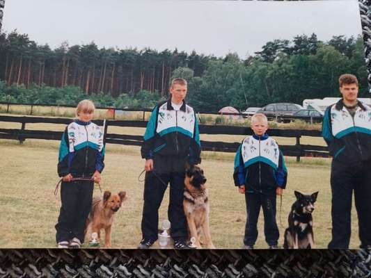 Alles rund um den Schäferhund, diskutieren erwünscht.-Beitrag-Bild