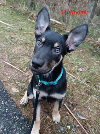 Sie werden so schnell groß!-Beitrag-Bild