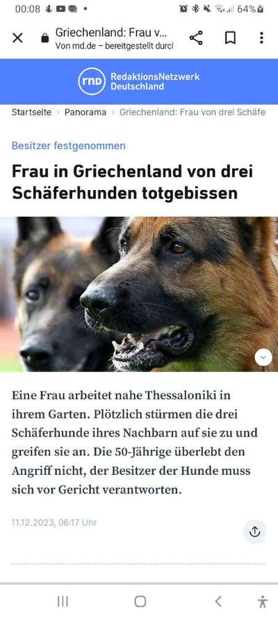 Hundeangriff in Griechenland - wie verhindern, vorbeugen?-Beitrag-Bild