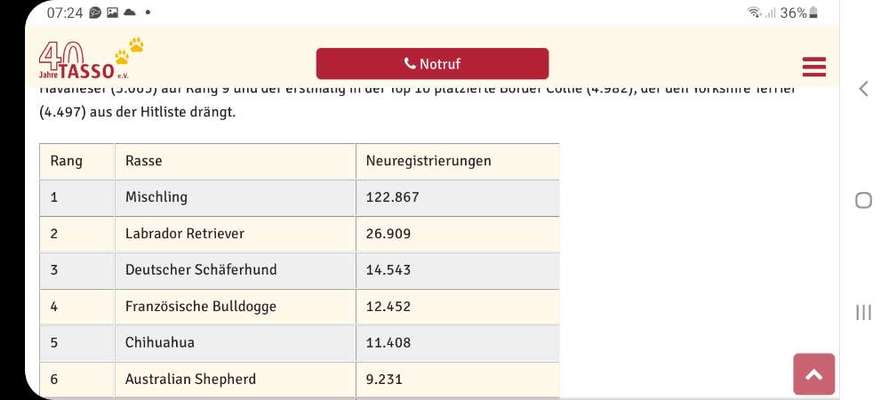 Qualzucht-Beitrag-Bild