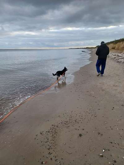 Welche gassi runde ist eure liebste ?-Beitrag-Bild