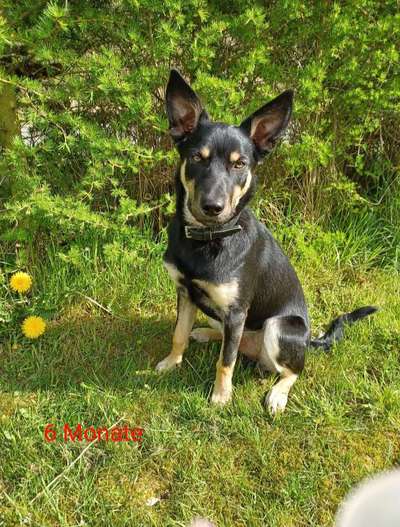 Sie werden so schnell groß!-Beitrag-Bild