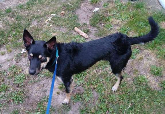 Der Gewichts-Thread-Beitrag-Bild