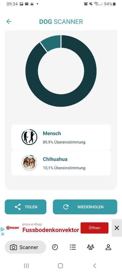 Hunderasse gesucht-Beitrag-Bild