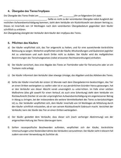 Überbiss beim Welpe-Beitrag-Bild