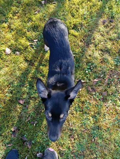 Der Gewichts-Thread-Beitrag-Bild