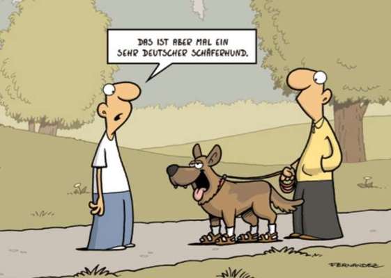 Hunde Memes-Beitrag-Bild