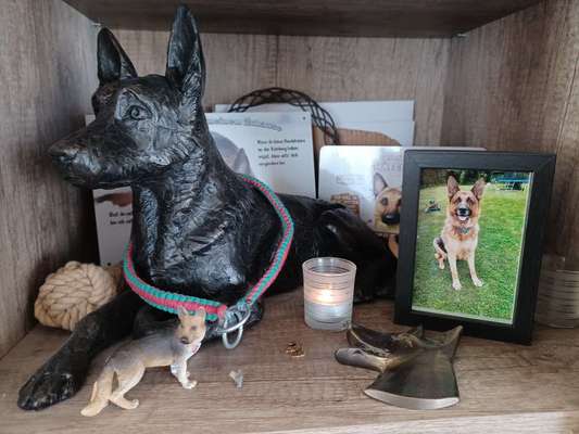 Urne von verstorbenen Haustieren !-Beitrag-Bild