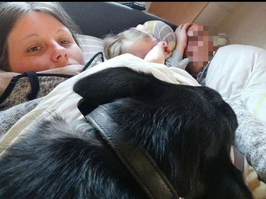 Alles rund um den Schäferhund, diskutieren erwünscht.-Beitrag-Bild