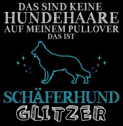 Haare, Haare, HAARE-Beitrag-Bild