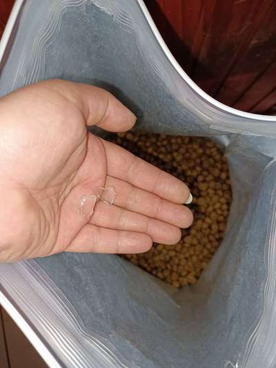 Rote dünne Drähte im Dibo Tiefkühl-Lammfutter-Beitrag-Bild