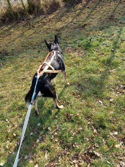 Antizuggeschirr-Beitrag-Bild